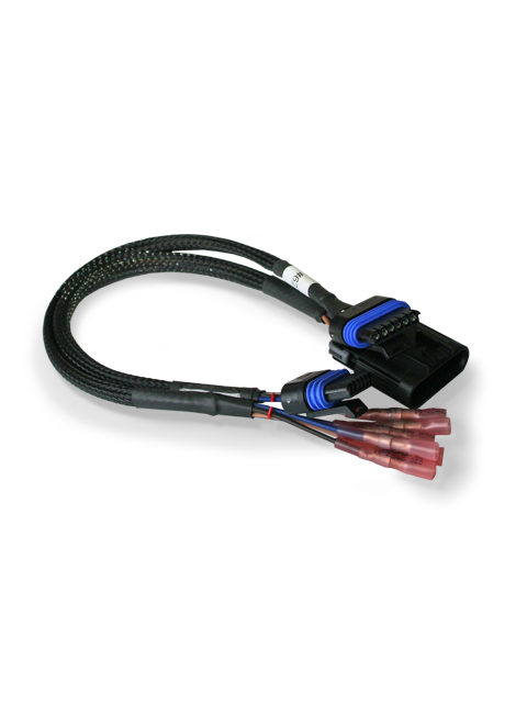 Drive by Wire Wiring Harness